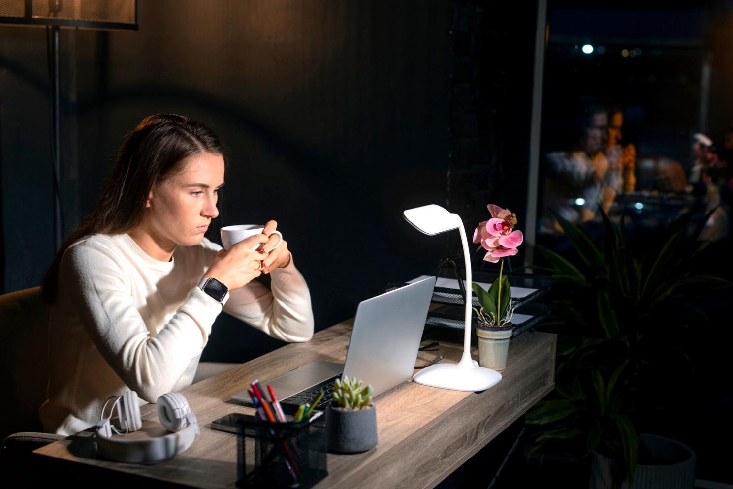 Mobile SEO learning environment